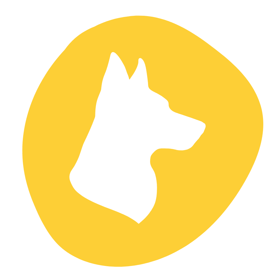 dog behavior modification trainer in North Texas for reactivity and aggression