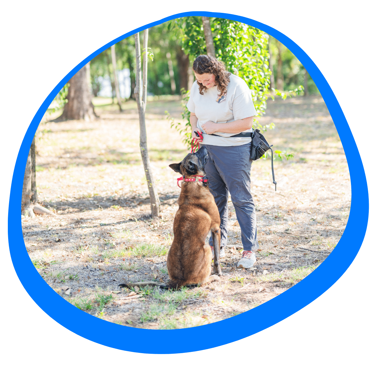 dog training in Gainesville TX using NePoPo® method by Beehaved Dog Training Co for obedience and behavior improvement