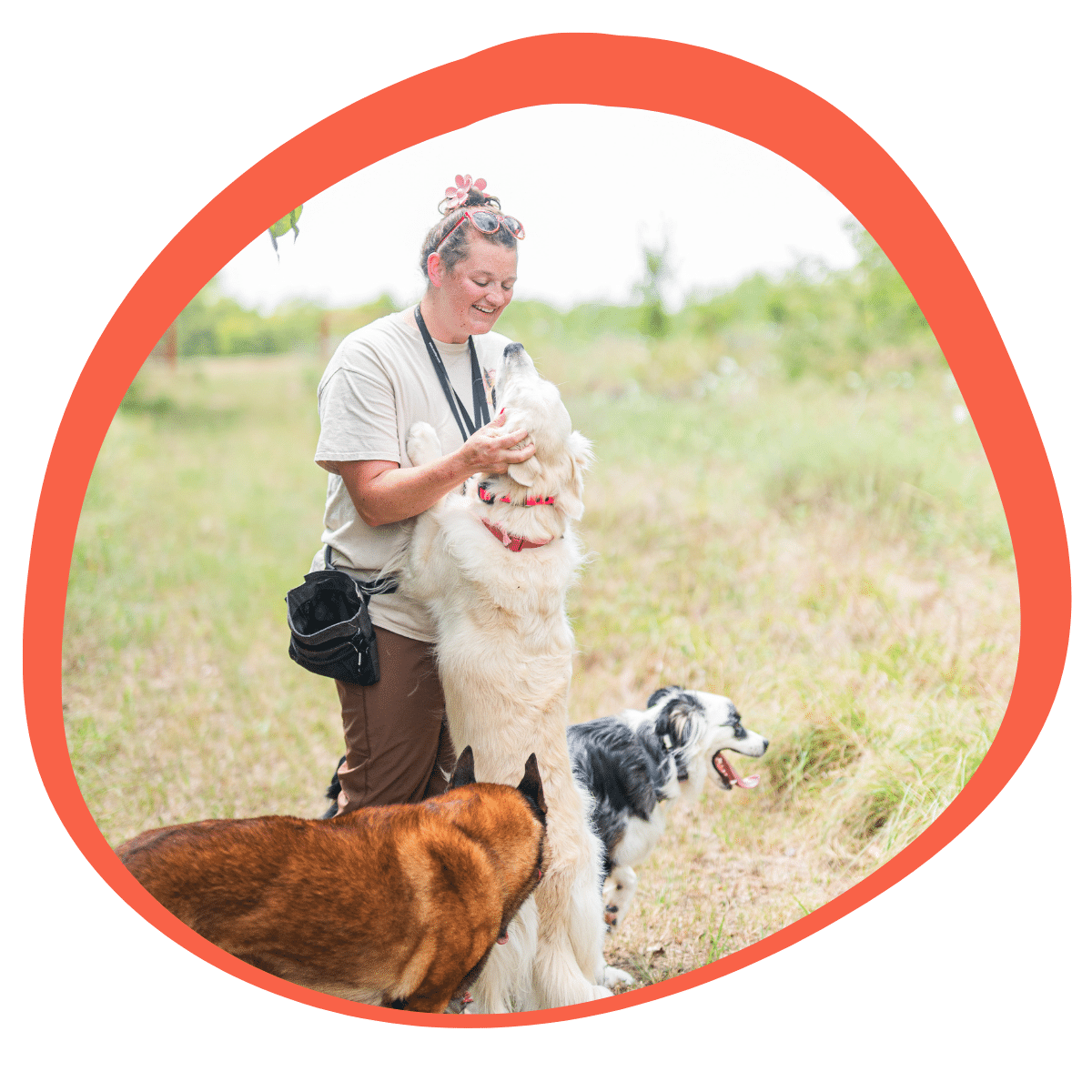 Beehaved Dog Training Co certified trainers and professional credentials in Gainesville TX for dog training and behavior modification