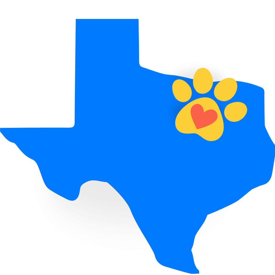 DFW puppy training services Gainesville Denton Dallas Fort Worth TX