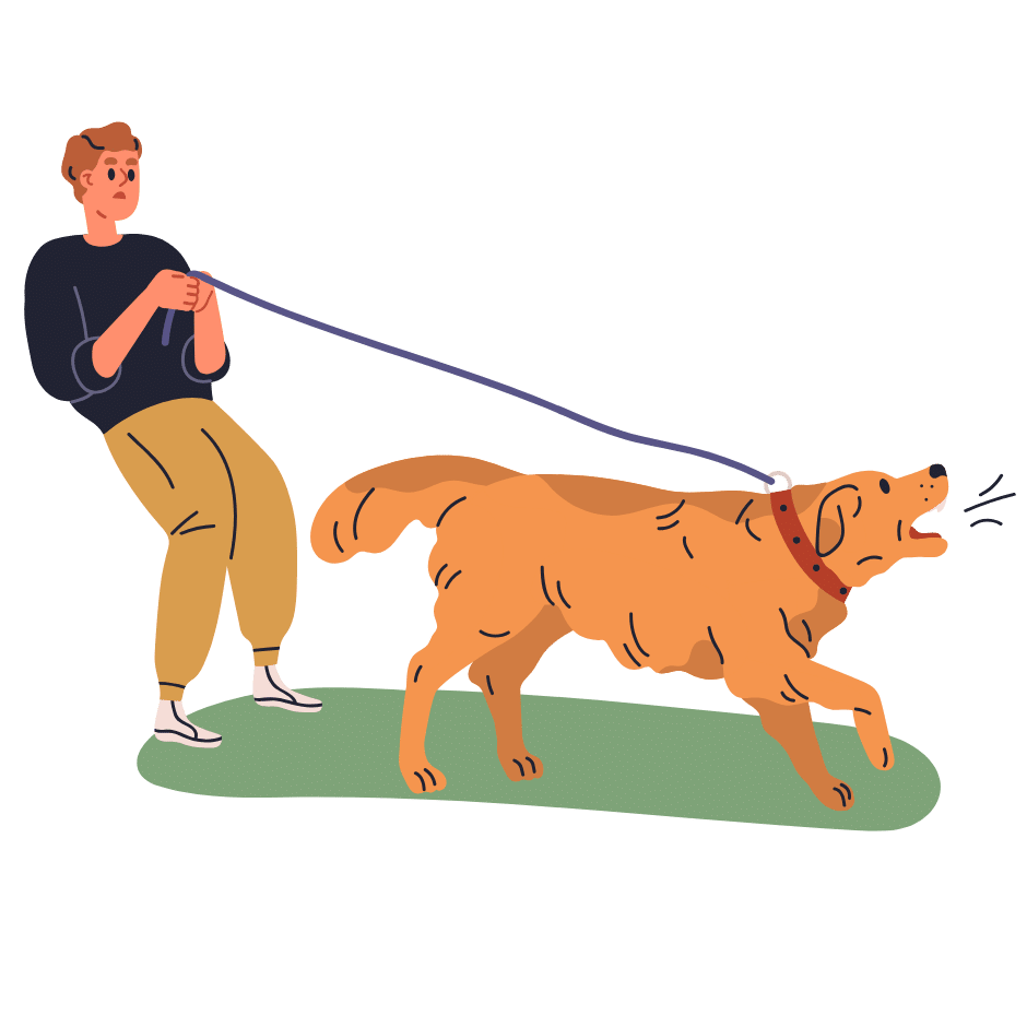 Gainesville TX dog behavior evaluation by certified trainer for reactivity issues