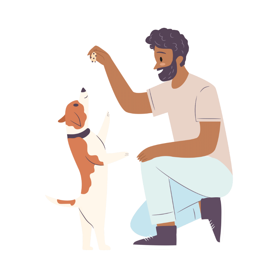 free phone assessment for new puppy owners in Gainesville and Denton TX