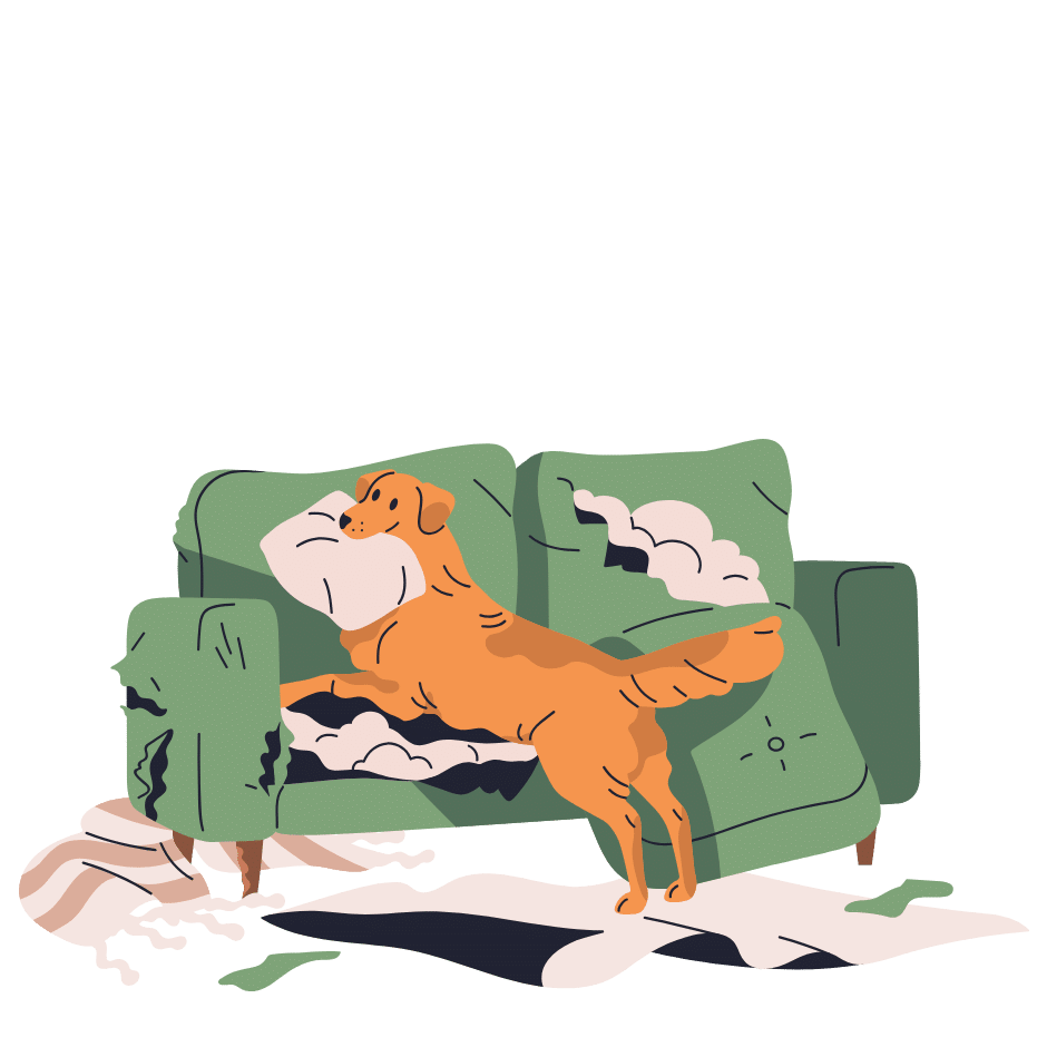 free phone assessment for board & train dog clients in Gainesville TX