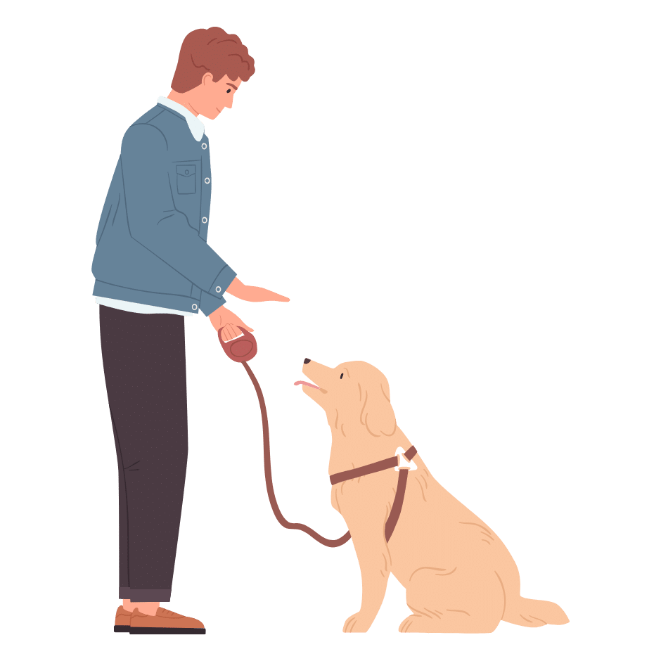 4-8 week board & train stay Gainesville TX with behavior, obedience, public proofing