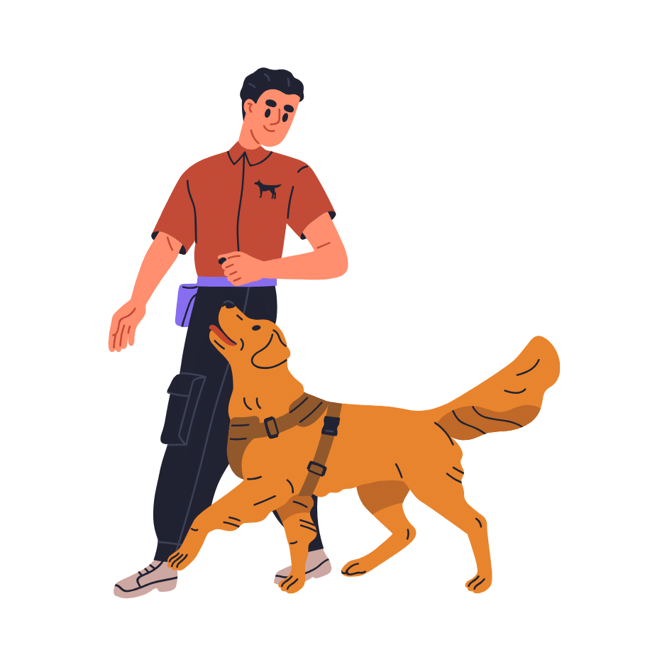 custom behavior modification training in Gainesville TX teaching dog calm responses and obedience
