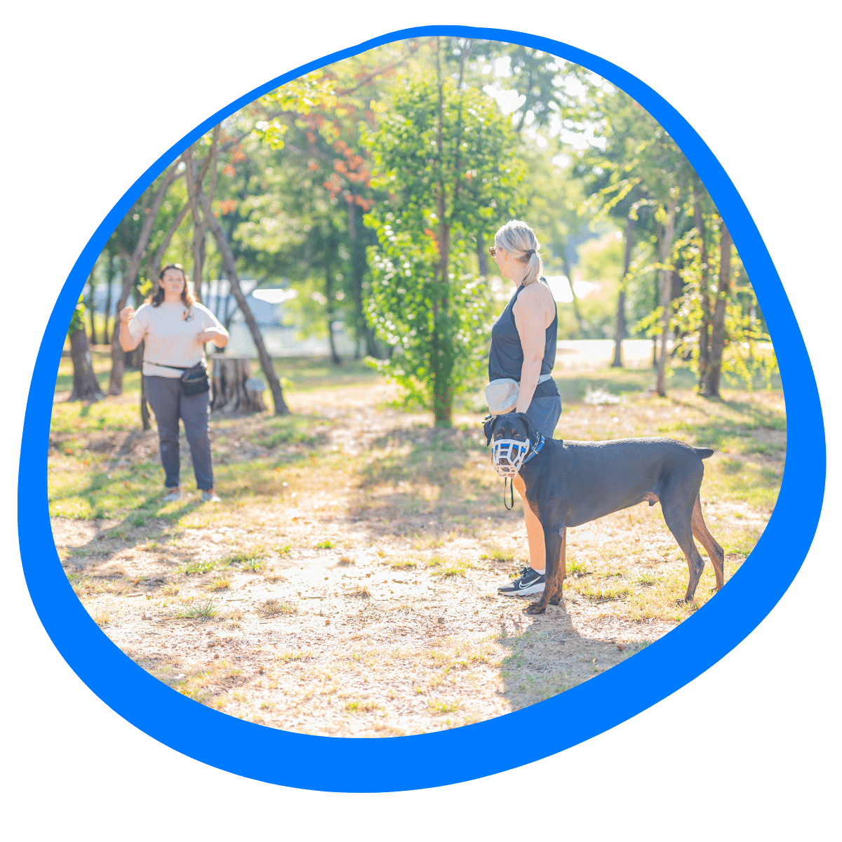 dog learning basic obedience commands in Gainesville TX during in-home training session
