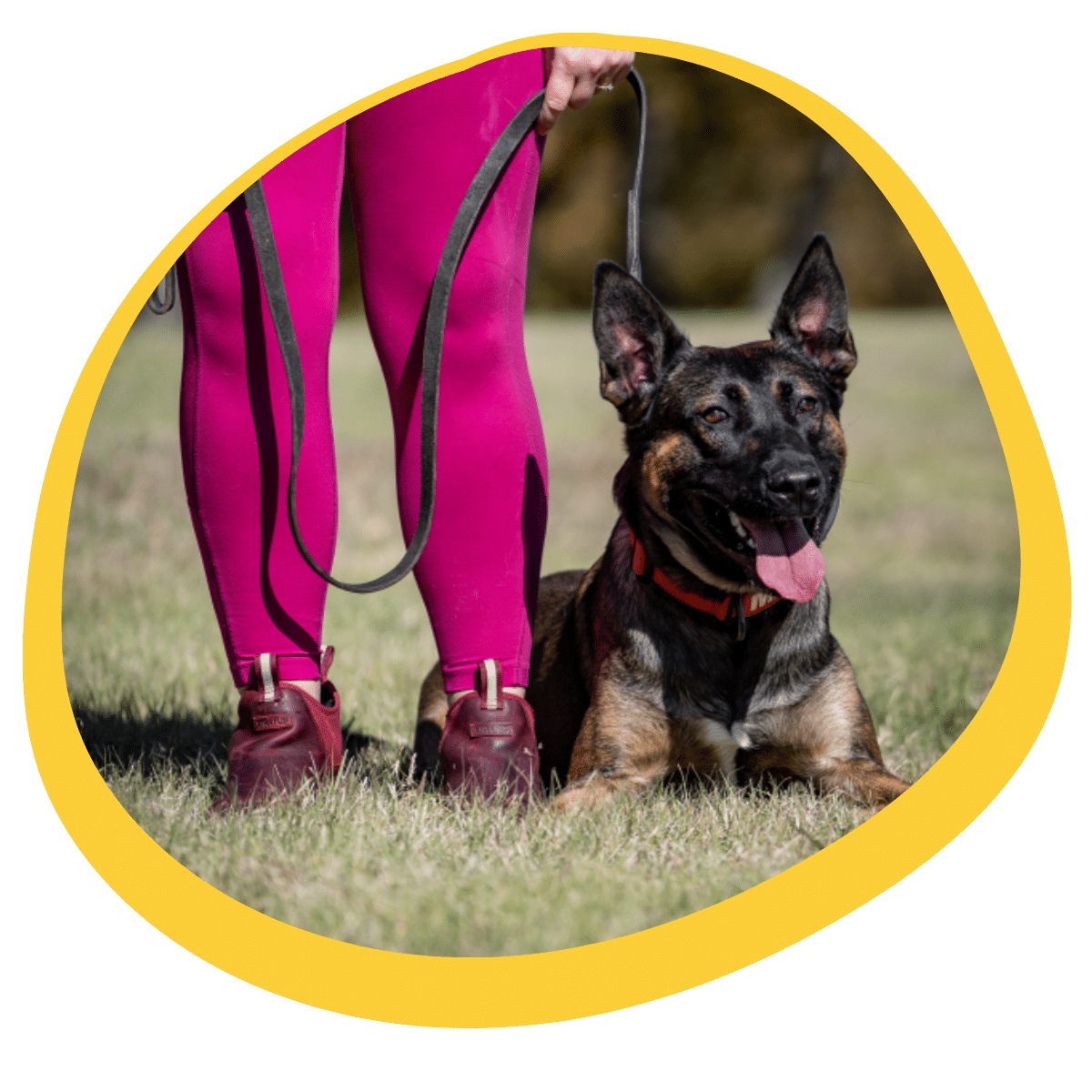 puppy practicing crate and potty training Gainesville and Dallas TX