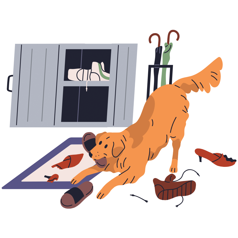 in-home dog behavior assessment in Gainesville TX by professional trainer