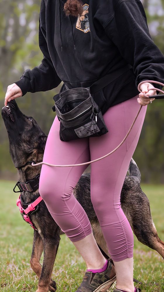 663043_93e9fe6b257c4435bfad934472a517f9~mv2